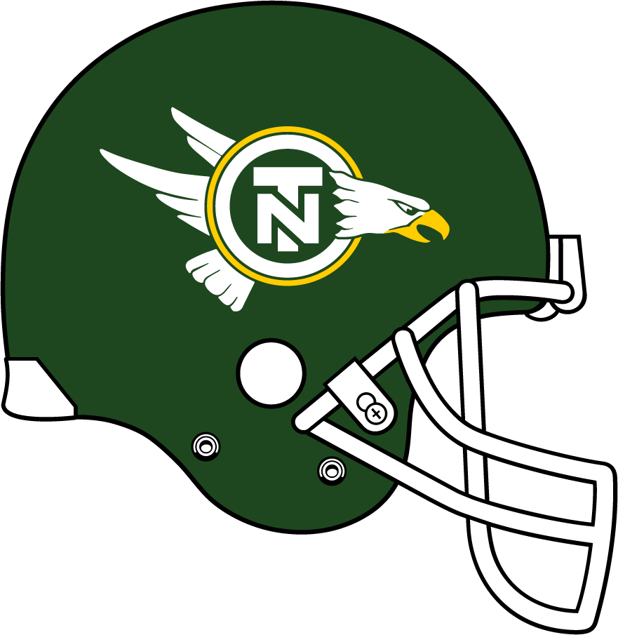 North Texas Mean Green 1983-1991 Helmet diy iron on heat transfer